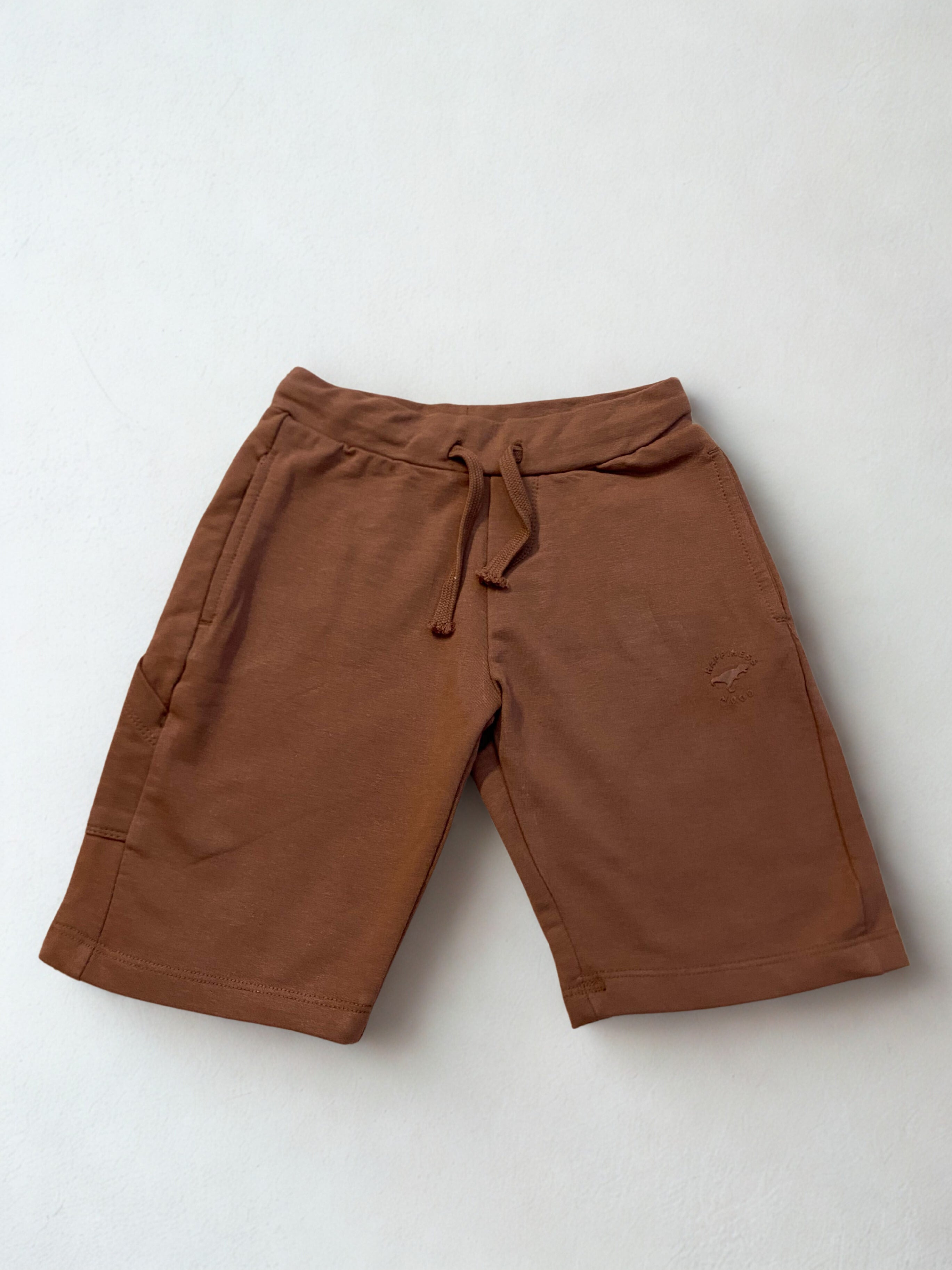 Cocoa Adventure Shorts -Dino