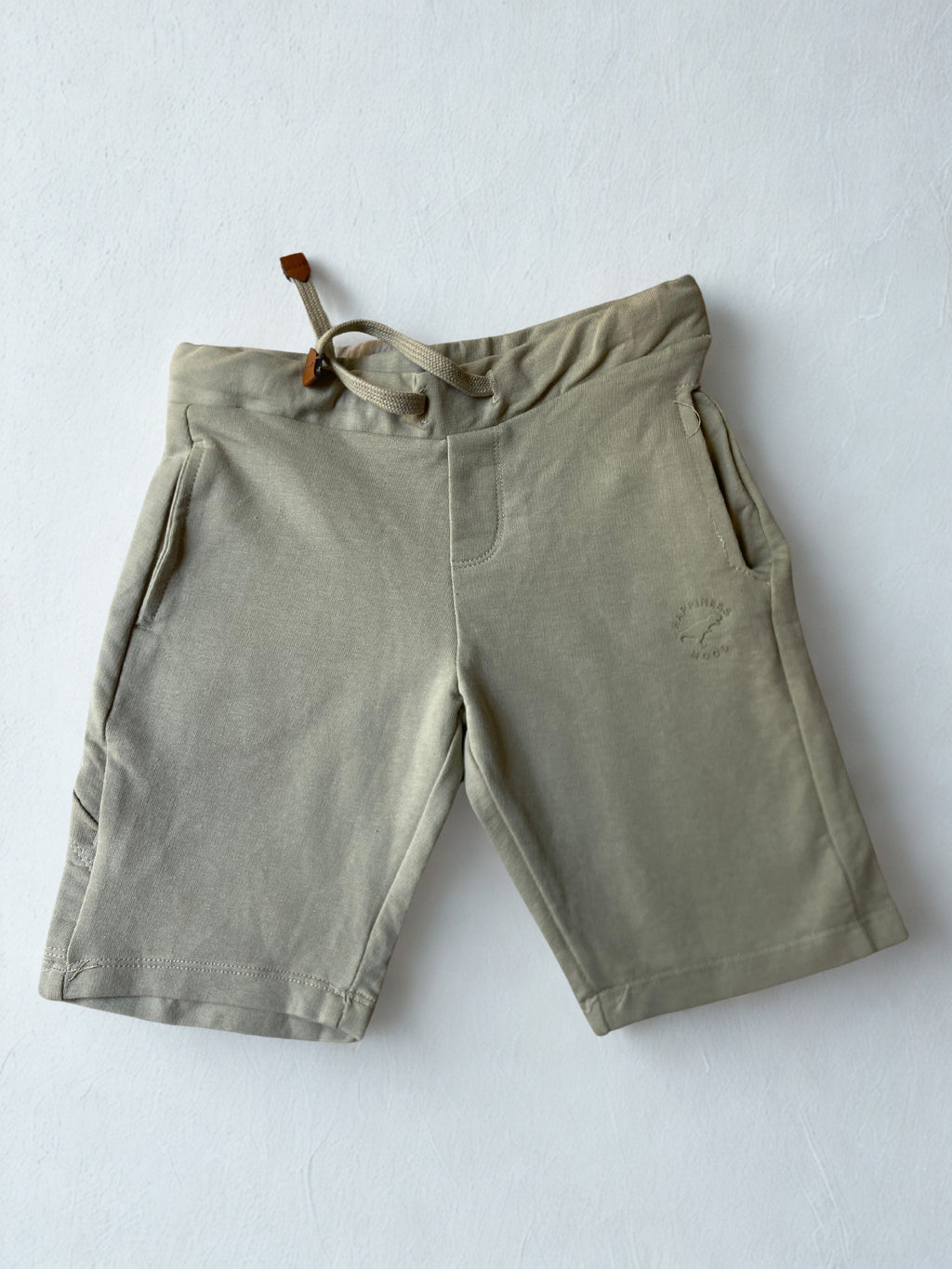 Storm Sprinter Shorts -Dino