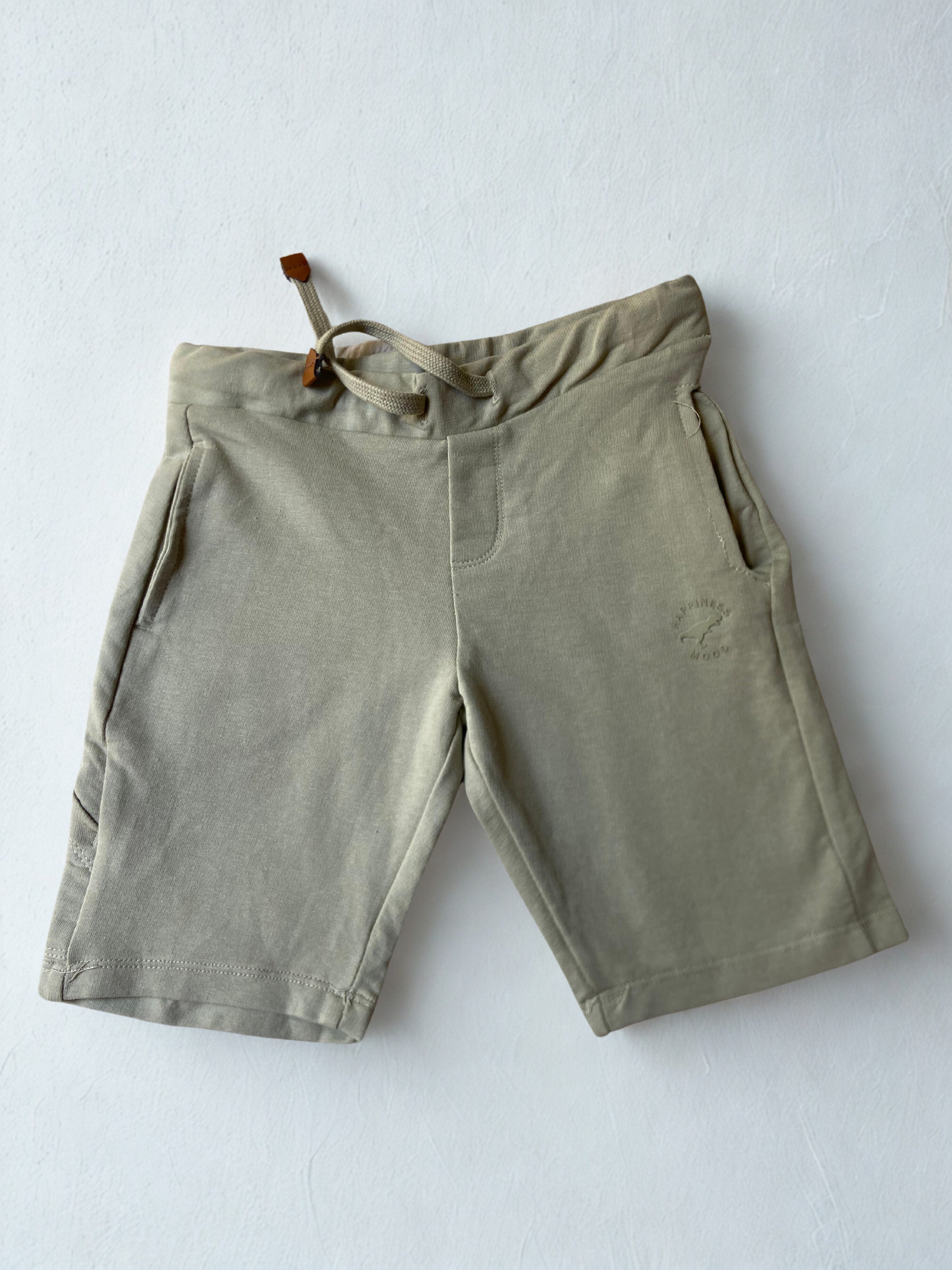 Storm Sprinter Shorts -Dino