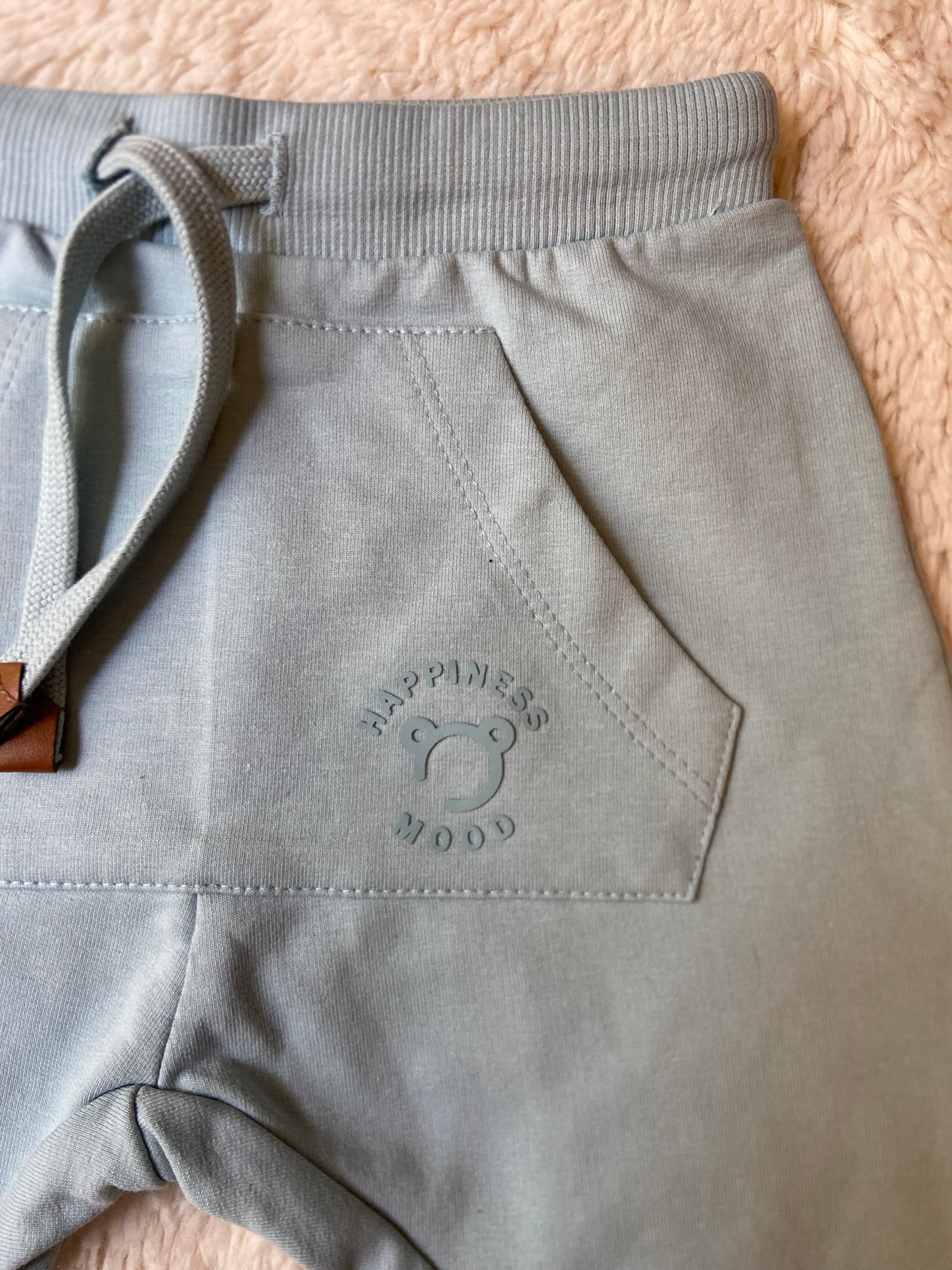 Blue Bear With Front Pocket