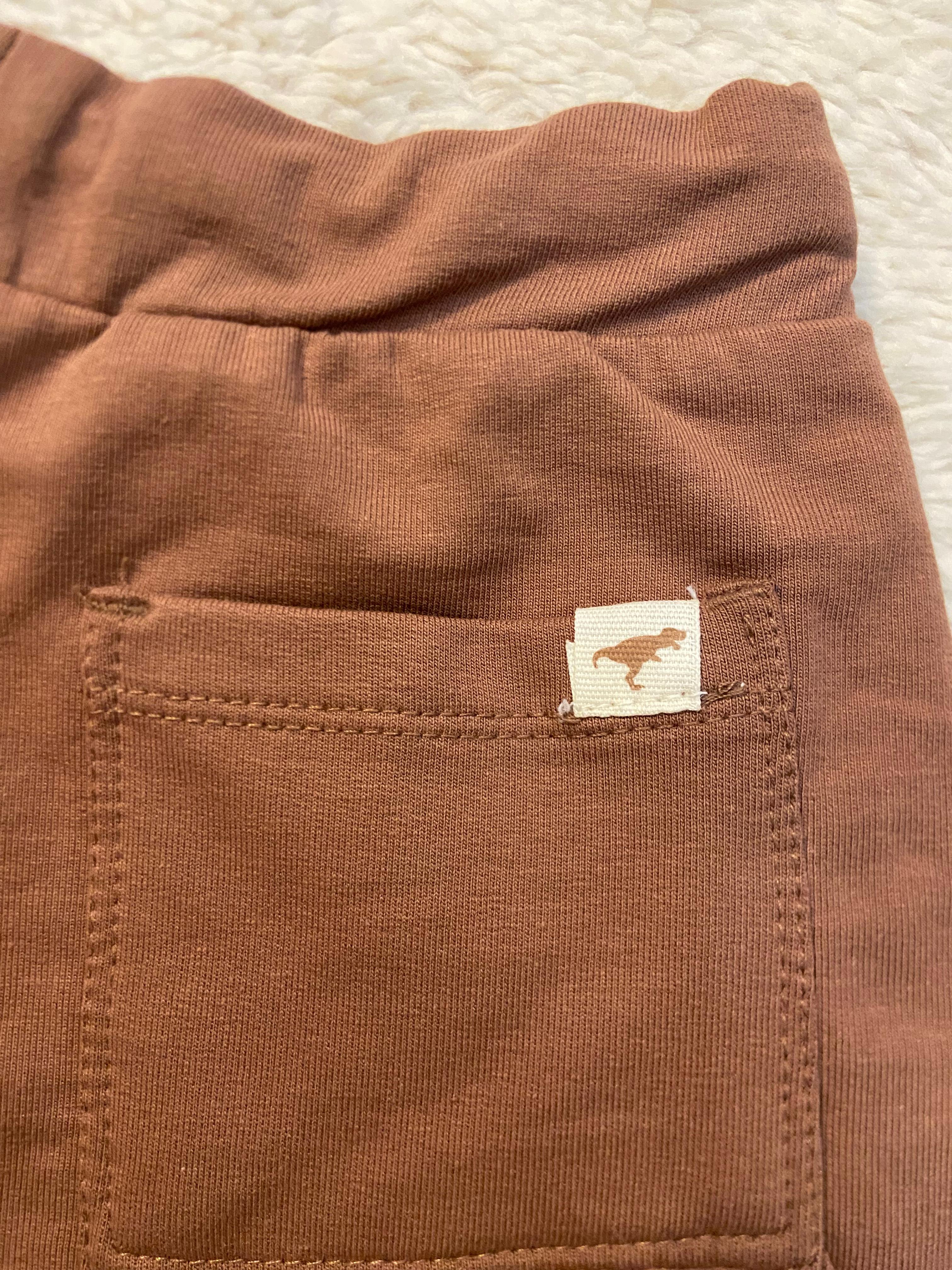 Cocoa Adventure Shorts -Dino