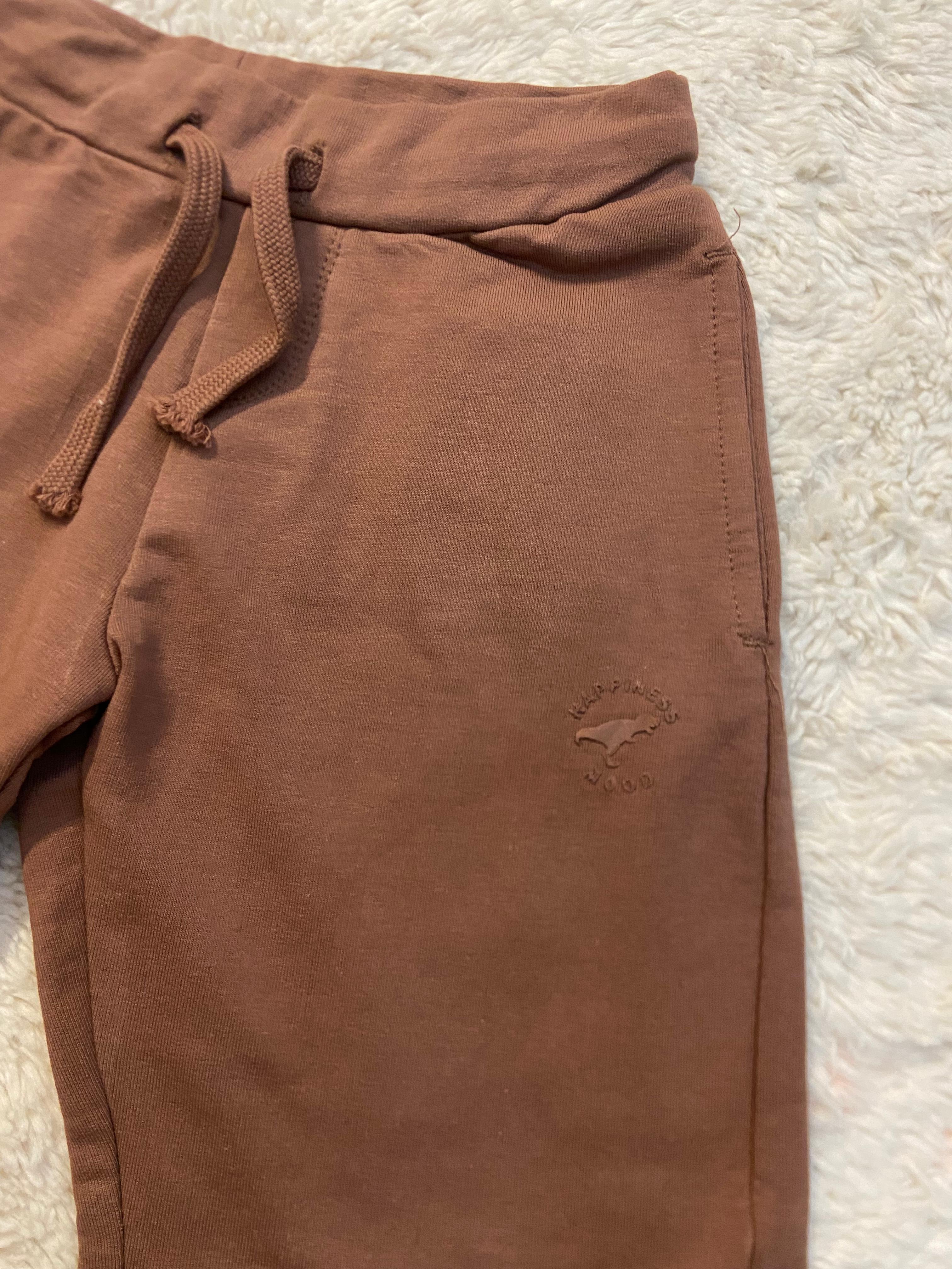 Cocoa Adventure Shorts -Dino