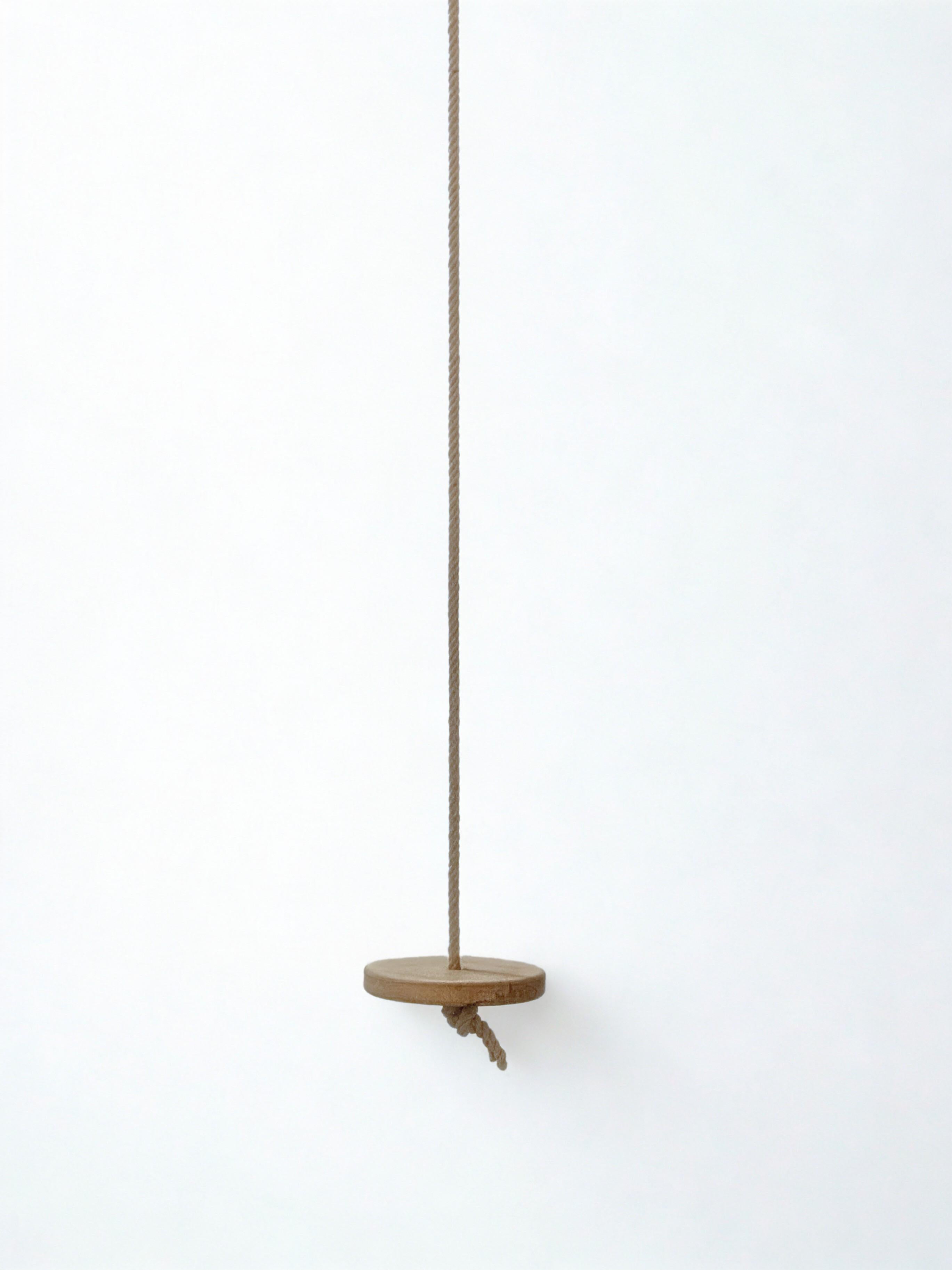 Barbarian Spinner Swing